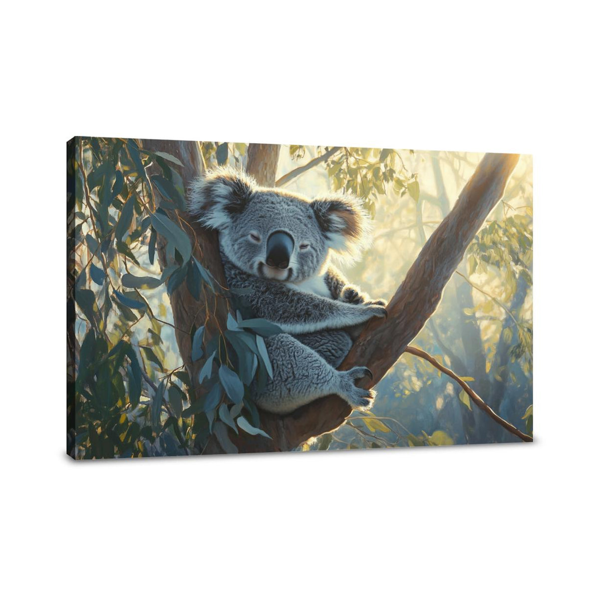 Koala Dawn Canvas