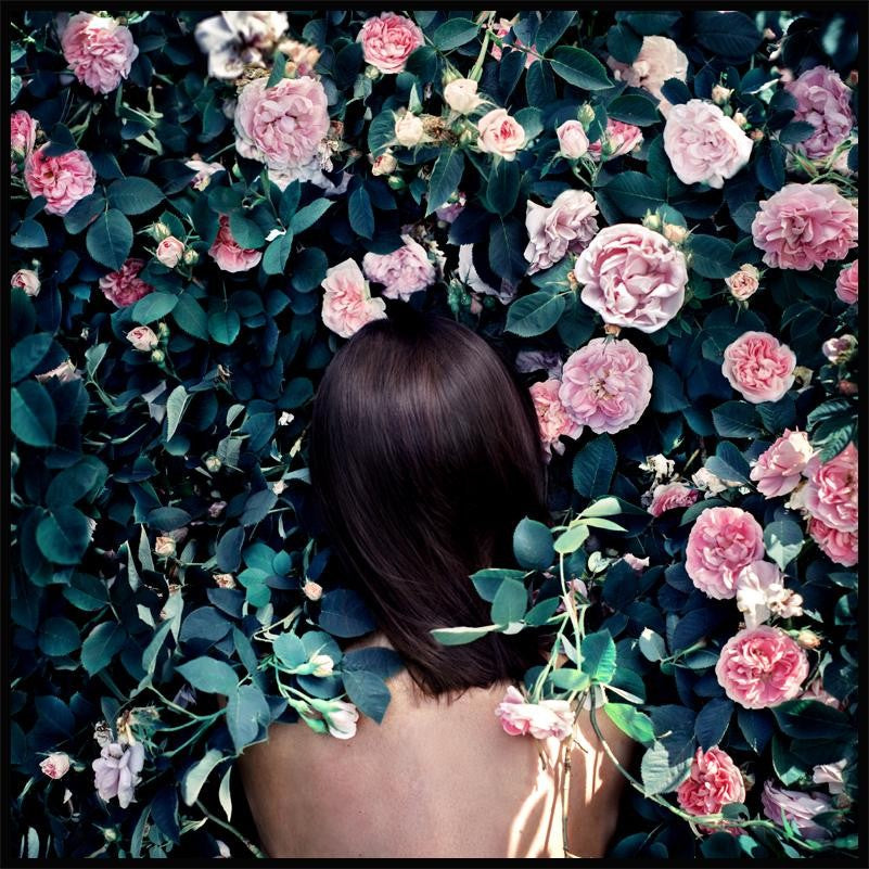 Sea of Flowers Poster