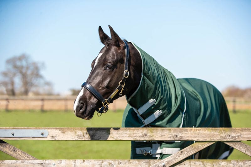 0g Detachable Neck Turnout Rug - Hunter Green