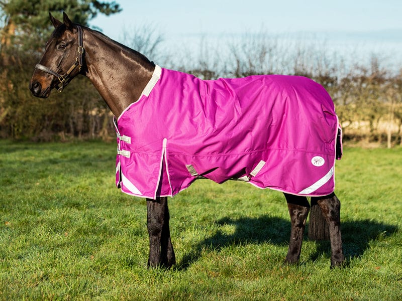 100g Detachable Neck Turnout Rug - Mulberry