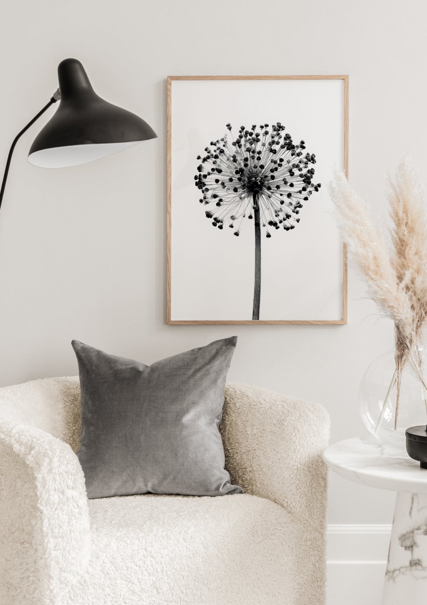 Dried Allium Flower Poster