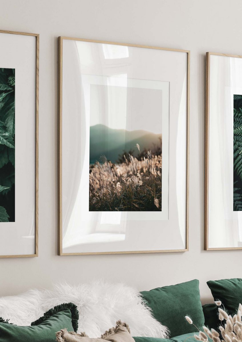 Sunlight Grass Poster