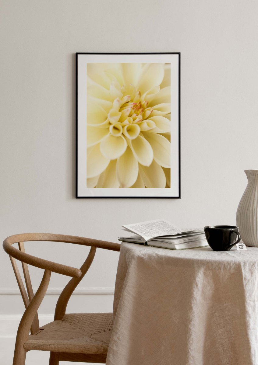 Yellow Dahlia Poster