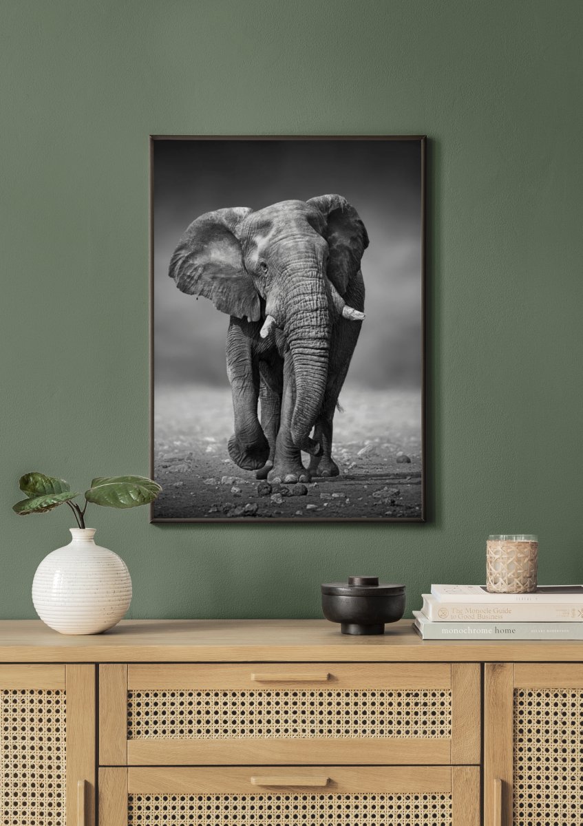 Majestic Elephant Poster