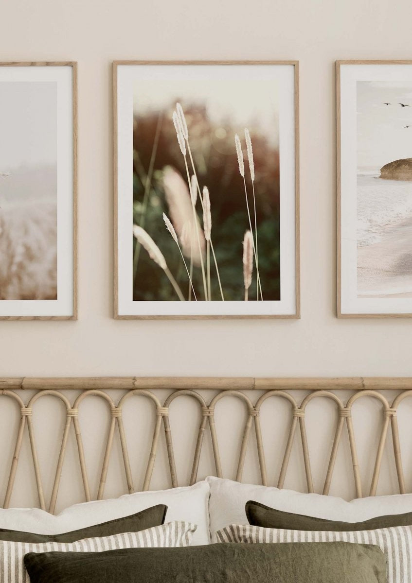 Evening Summer Field Poster