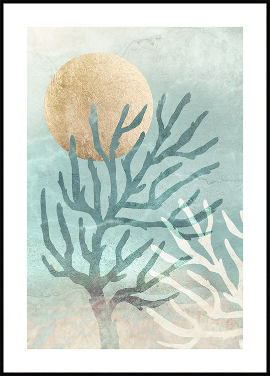 Coral Dreams Poster
