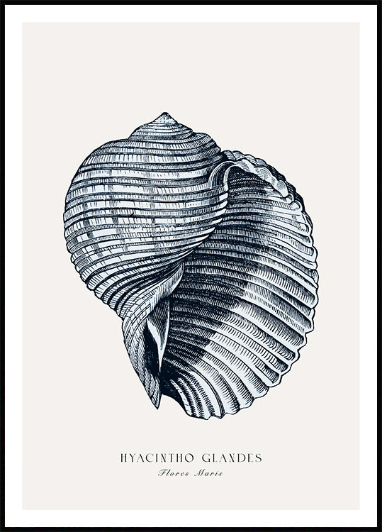 Blue Seashell Poster