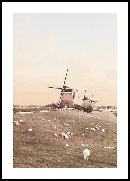 Windmills and Sheep Poster