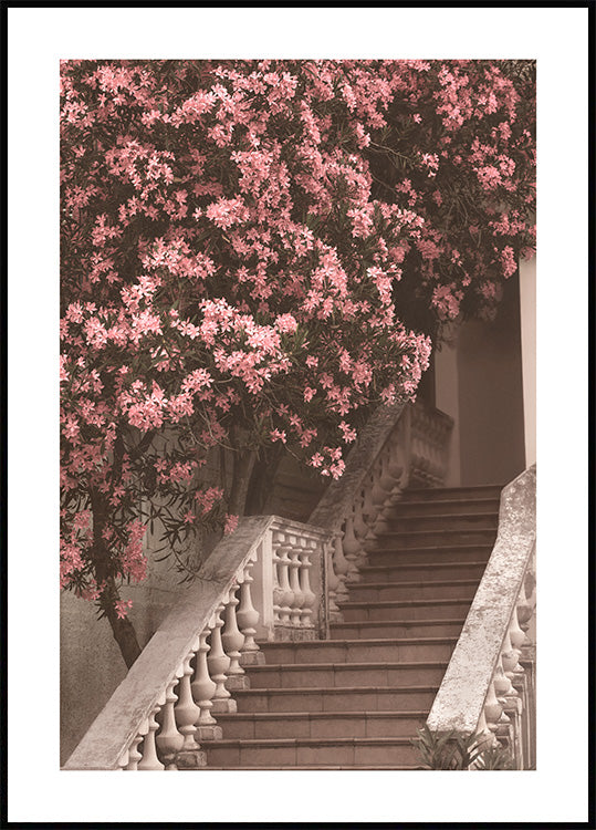Flower Staircase Poster