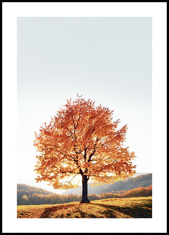 Dramatic Tree Poster