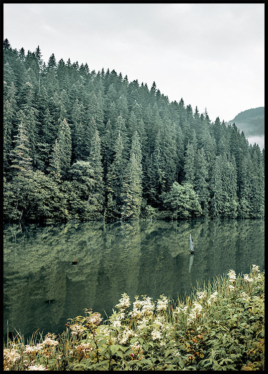 Forest Landscape No1 Poster