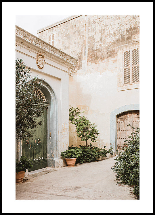 Plants in the Courtyard Poster