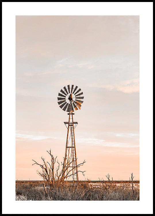 Windmill in Texas Poster