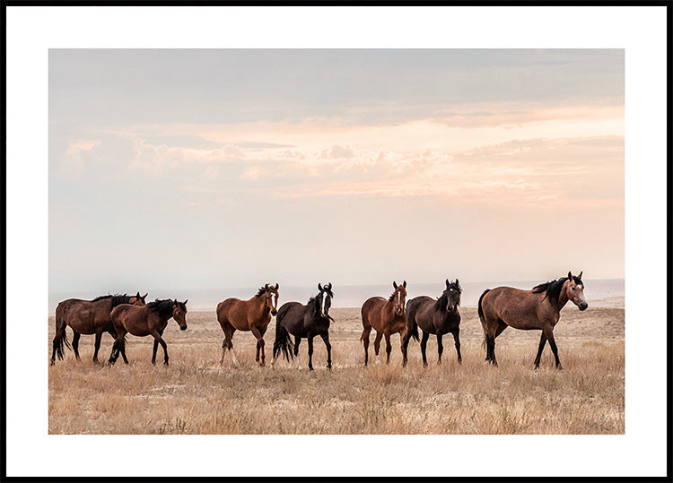 Wild Horses in Sunset Poster