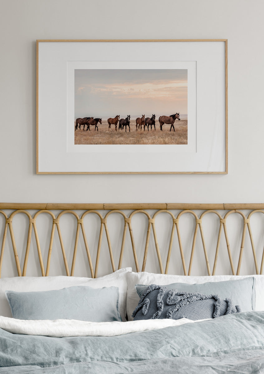 Wild Horses in Sunset Poster