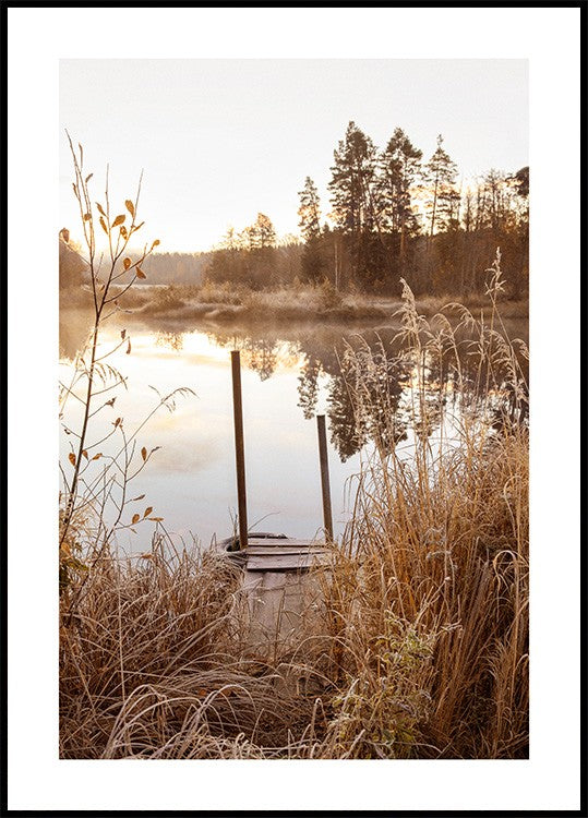 Morning Serenity Lake Poster