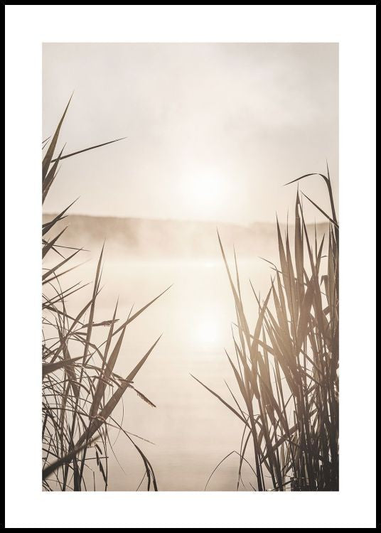 Sunrise on River Poster