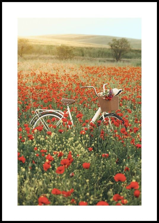Bicycle on Field Poster