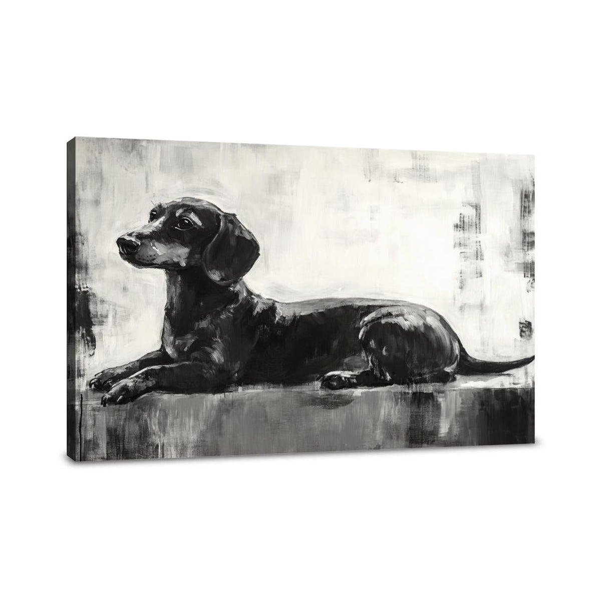 Dappled Dachshund Canvas
