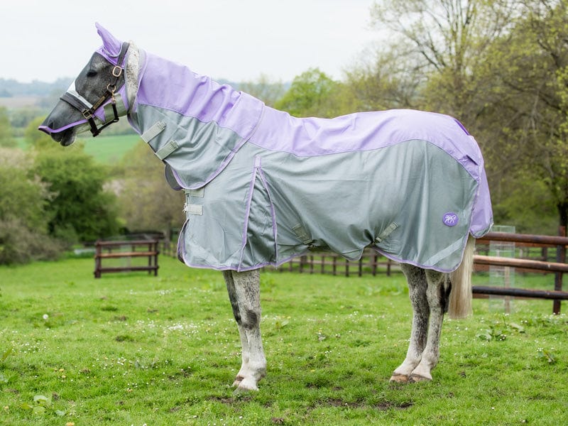 Fly Turnout Combination Rug (NYLON) - Violet